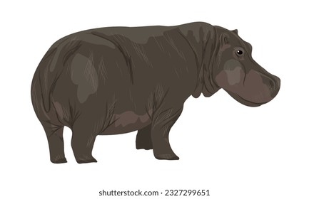 Hippo Hipopótamo amphibius. animales salvajes de áfrica. Animal vector realista