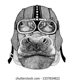 Hippo, Hippopotamus, behemoth, river-horse