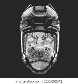 Hippo, Hippopotamus, behemoth, river-horse Wild animal wearing hockey helmet. Print for t-shirt design.