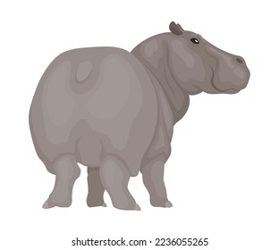 Hippo. Hippopotamus cartoon character. African animal, zoo and wildlife concept. Large gray wild creature standing on white background