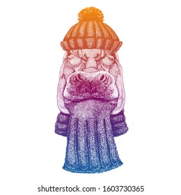 Hippo, Hippopotamus. Ski, skier animal wearing woolen knitted hat. Christmas time. Cartoon character for little children. Kids print for shirts. Nursery decor.