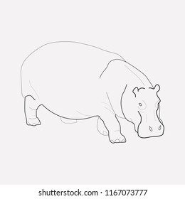 Hippo icon line element. Vector illustration of hippo icon line isolated on clean background for your web mobile app logo design.