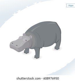 Hippo isolated on white background. Isometric view. Flat vector illustration.