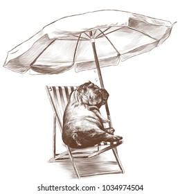 Hippo laying asleep on a beach lounger under a folding umbrella in sketch vector graphics monochrome drawing