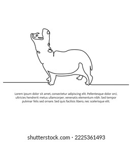 Hippo line design. Simple animal silhouette decorative elements drawn with one continuous line. Vector illustration of minimalist style on white background.