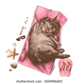 the Hippo lying on a towel on the beach scattered sea shells, sunglasses and Slippers sketch vector graphics color picture
