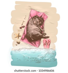 Hippo Lying On Towel On Beach Stock Vector (Royalty Free) 1034986606