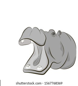 hippo picture. hippopotamus opens his mouth. vector illustration.