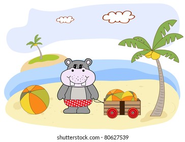 hippo play on the beach