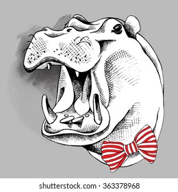 Hippo portrait with a tie. Vector illustration.