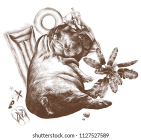 Hippo sleeping under a palm tree inflatable round mattress, and a towel surrounded by leisure facilities nearby growing tree and lying glasses shale and shells, sketch vector graphics monochrome 