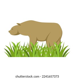 Hippo standing on green grass vector illustration. Cartoon wild creature. African animals, zoo and wildlife concept.