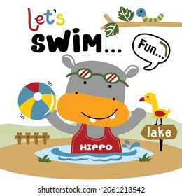 hippo swim in the lake funny animal cartoon