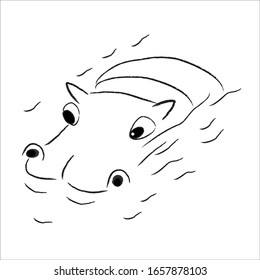 A hippo is swimming in the water