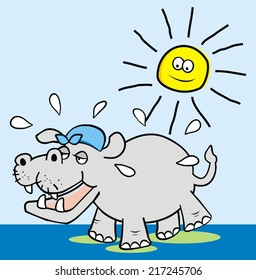 Hippo, vector funny illustration