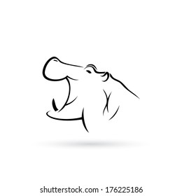 Hippo - vector illustration