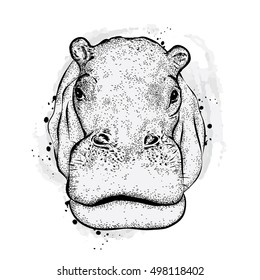 Hippo. Vector illustration for a card or poster. Print on clothes. 