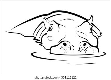 Hippo in water