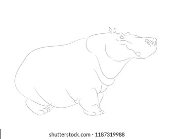 Hippo Is Worth Drawing Lines, Vector, White Background