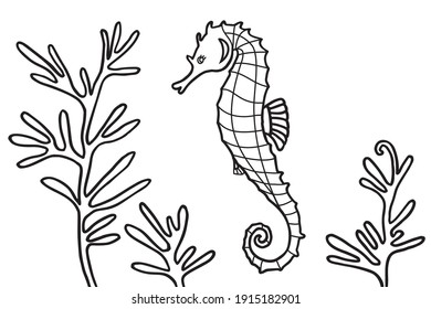 Hippocampus and algae in the ocean. Can be used for coloring book for kids. Vector illustration.