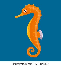 Hippocampus es de color naranja con un vientre amarillo sobre un fondo azul oscuro. Vive en mares tropicales y subtorpicos, y tiene una cola flexible. Para el diseño.