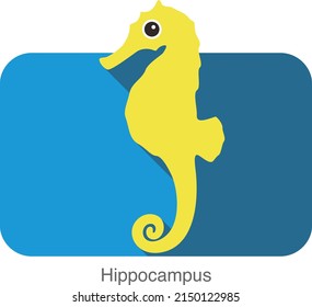 A Hippocampus  Is Swimming In The Sea