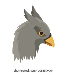 Hippogriff head fantastic creature