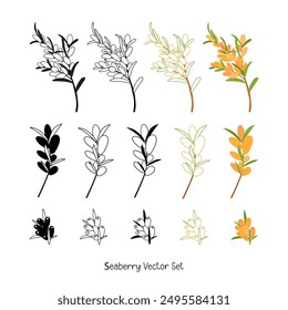 Hippophae sea buckthorn set isolated on white background. Cute seaberry branch black and color illustration collection