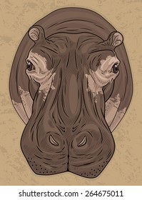 Hippopotamus