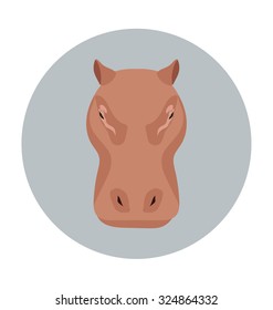 
Hippopotamus 
