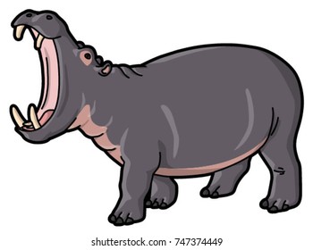 Hippopotamus