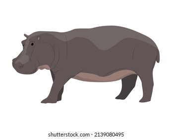 603 Hippo realistic Images, Stock Photos & Vectors | Shutterstock