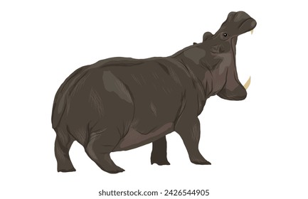 El hipopótamo Hippopotamus amphibius abrió su boca de par en par. Animales salvajes de África. Animal vector realista