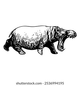 Hippopotamus Vector anfibio ilustración animal diseño aislado 