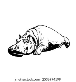 Hippopotamus Vector anfibio ilustración animal diseño aislado 