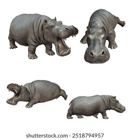 Design-Vorlage für Vektor-Tierillustrationen mit dem Amphibienvektor Hippopotamus 