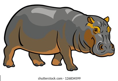 hippopotamus amphibius,africa animal,side view picture isolated on white background,vector illustration