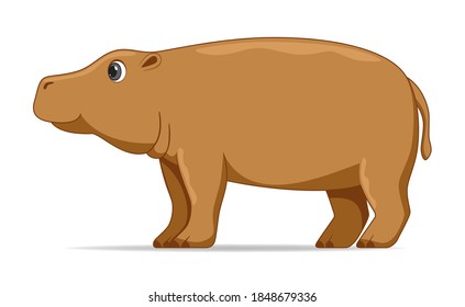 Hippopotamus animal standing on a white background. Cartoon style vector illustration