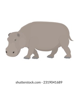 Hippopotamus. Animal hippopotamus, vector illustration