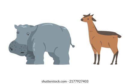 Hippopotamus and Antelope as Wild African Animal Living in Savannah Vector Set