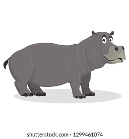 hippopotamus cartoon vector illustration