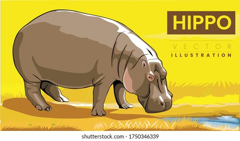 Hippopotamus  creative drawing. No reference images used