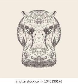 Hippopotamus head Illustration in solid design 