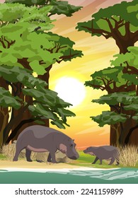 Hippopotamus and her cub stand on the shore of a salt lake in a baobab grove. wildlife of africa. Realistic vector vertical landscape