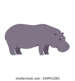 Hippopotamus, hippo. Isolated vector illustration