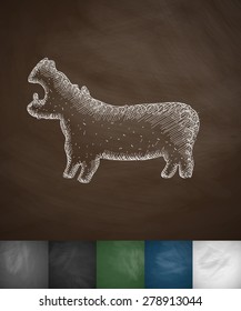 hippopotamus icon. Hand drawn vector illustration. Chalkboard Design