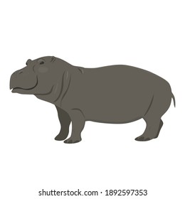 25,686 Hippopotamus Stock Vectors, Images & Vector Art | Shutterstock
