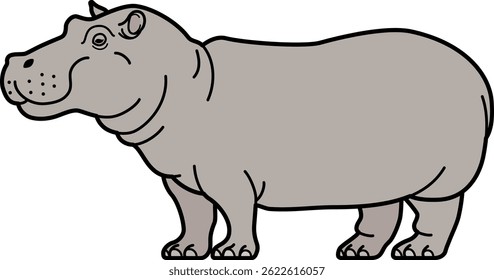 The hippopotamus isolated on white background