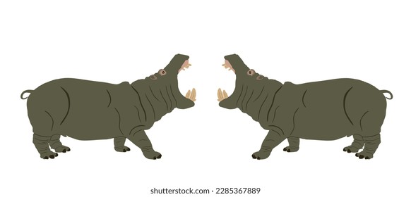 Hippopotamus open jaws hippo fight with male opponent for mating vector illustration isolated on white background. Big scary animal from Africa. Wild superior animal symbol. Fat angry beast battle.