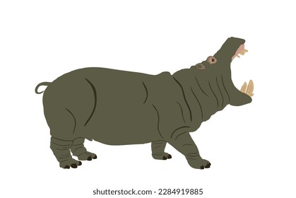 Hippopotamus open jaws hippo ilustración vector aislada en fondo blanco. Un gran animal aterrador de África. Símbolo animal salvaje.